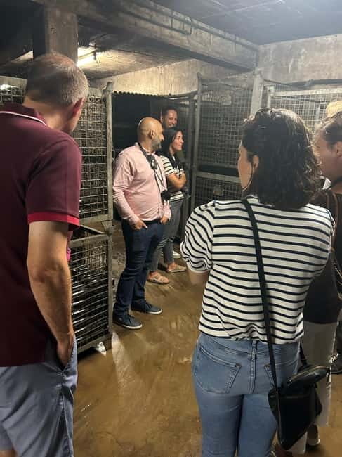 Johannisberg Rheingau: Wine tasting with cellar tour and hike - An In-Depth Look at the Experience