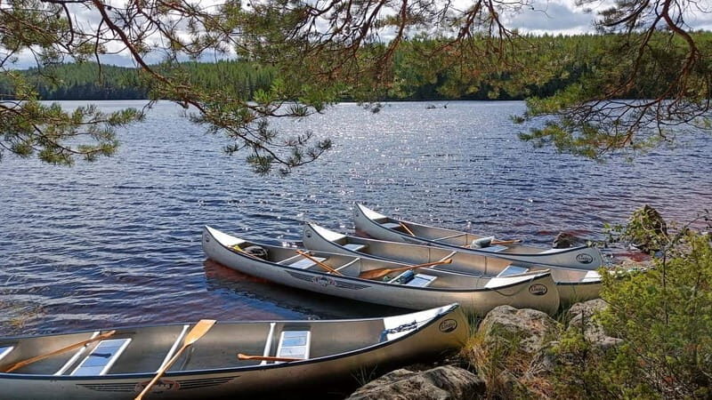 Johannisholm: Guided Canoe Tour on Lake Venjanssjön - Authentic Experiences and Practical Tips
