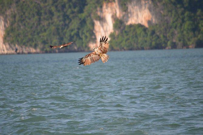 John Grays Adventure Hong by Starlight in Phang Nga Bay - Traveler Photos