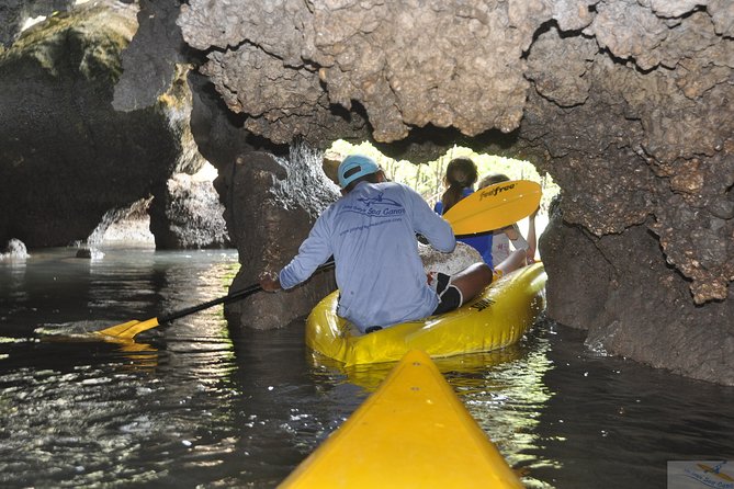 John Grays Sea Canoe Hong by Starlight Tour - Cancellation Policy