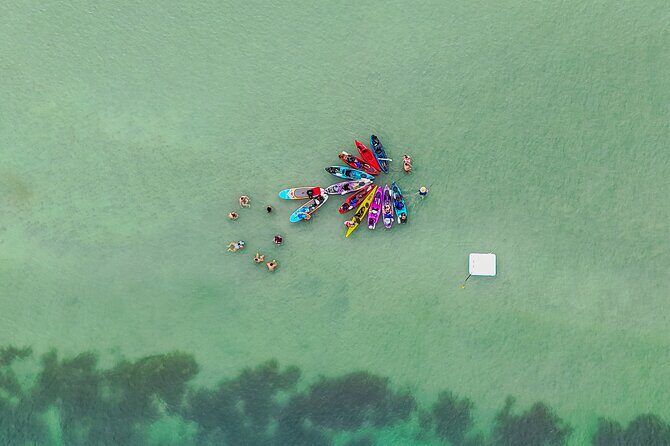 John's Pass Sandbar Party Kayak Adventure - Practical Tips for Participants