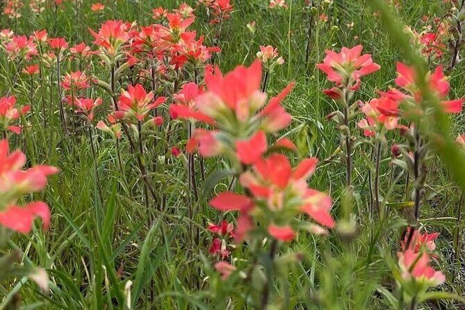 Johnson Canyon Lake Louise Emerald Lake Banff Gondola Hoodos - FAQ