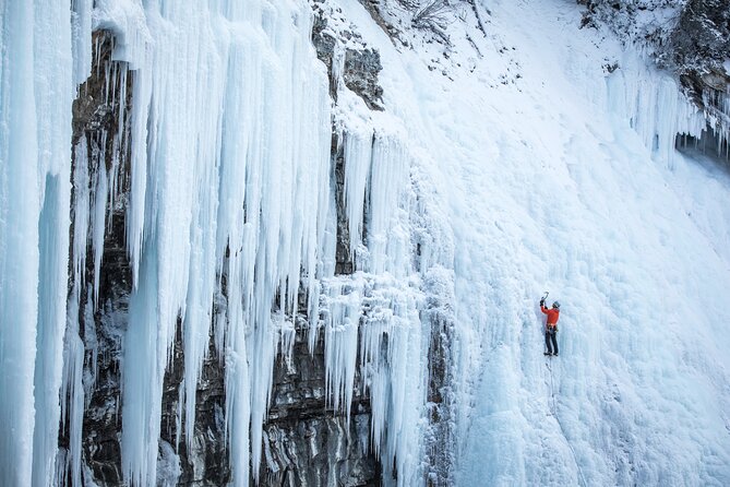 Johnston Canyon Frozen Waterfalls & Banff Backroads Wildlife Tour - Traveler Photos and Reviews