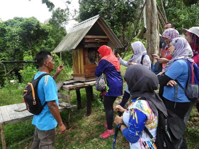 Johor: Belungkor Hill Hiking Tour - What to Bring and Wear