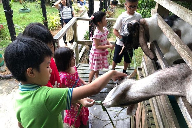 Johor Day Tour From Singapore - Southernmost Tip, Eco Farm, Go Kart [Car] - Common Questions