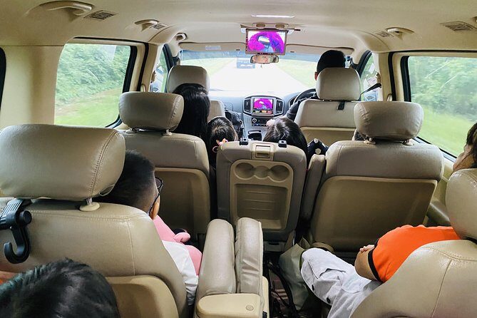 Johor Day Tour - Ostrich Farm, Beach, Waterfall, Fireflies [Car] - A Nighttime Spectacle at Kota Tinggi Firefly Park