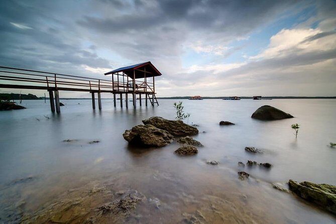 Johor Day Tour - Ostrich Farm, Beach, Waterfall, Fireflies [Car] - Authentic Family Experience