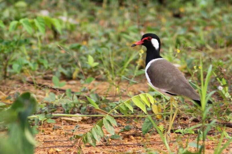 Johor: Desaru Coast Cycling - Analyzing the Value