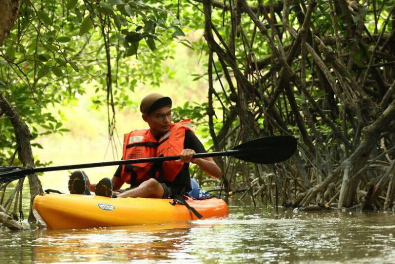 Johor: Sungai Lebam Kayaking with Transfer - Exploring Johor’s Lebam River Kayaking Tour: An Authentic Nature Escape