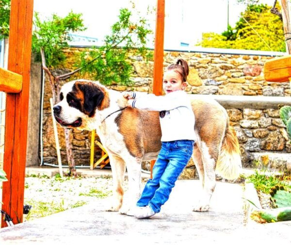 Join A Group Cooking Class At The Home Of A Mykonian Family - Location and Meeting Details