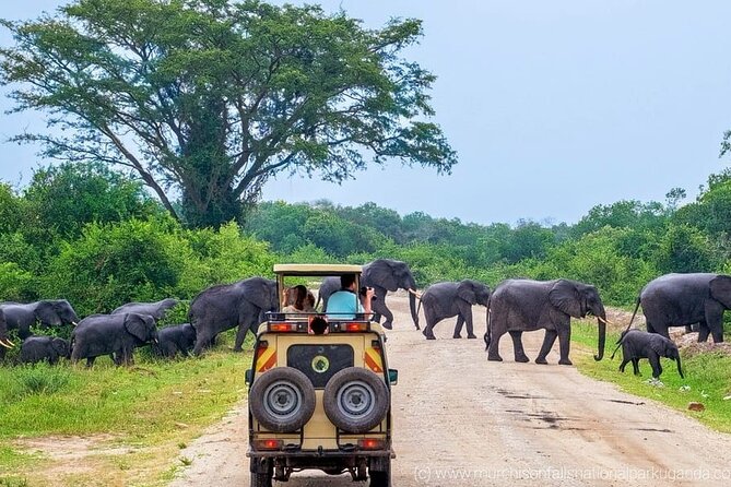 Join Amusing Lanka Tours For Your Next Dream Destination - Inclusions and Amenities