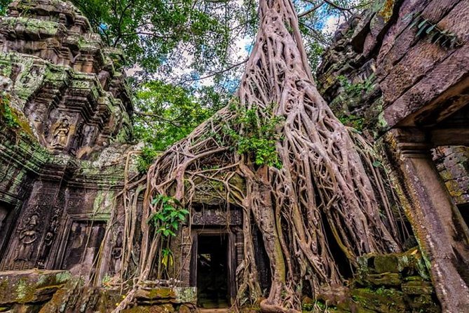 Join Group Tour Angkor Wat Small Group Full Day - Exclusions