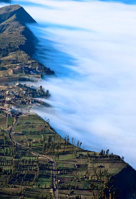 Join in Trip Bromo From Malang - Pricing and Booking Information