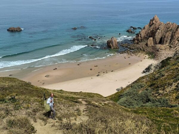 Join One of the Best Coastal Hikes in Europe! Lisbon Pick up - Experienced Local Guides