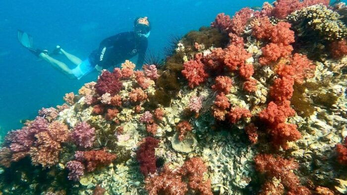 Join Snorkeling Trip 7 Spots Lunch Included - Frequently Asked Questions