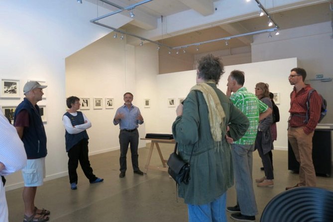 Join the Locals: Walk and Talk Dealer Art Gallery in Wellington - Overview of the Walk and Talk Dealer Art Gallery