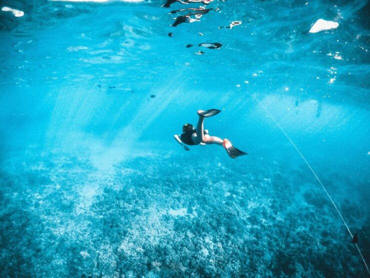 Join Us on a Snorkel Boat Tour of Los Cristianos - Tour Details