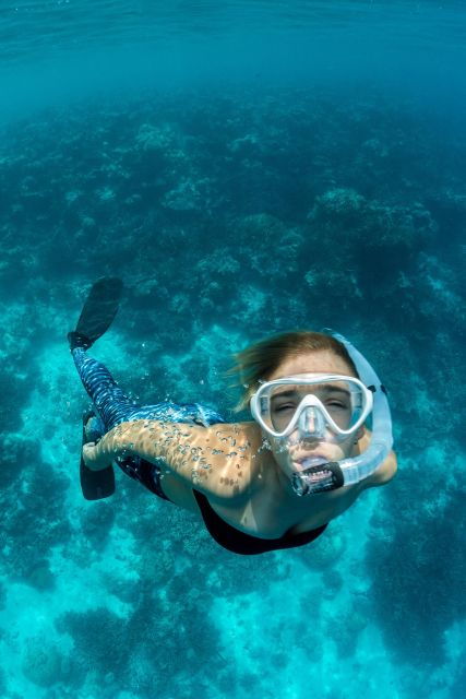 Join Us on a Snorkel Boat Tour of Los Cristianos - Additional Information