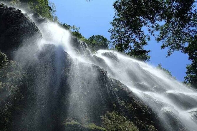 Joiners Whale Shark Watching and Canyoneering in Kawasan Falls - The Experience & Practical Tips