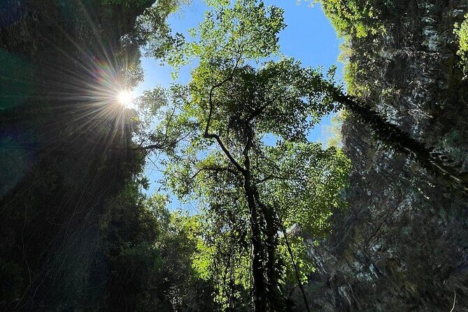 Jomblang and Pindul Cave Small Group Tour With Transfer and Lunch - Exploring Jomblang Cave: The Vertical Descent and Light of Heaven