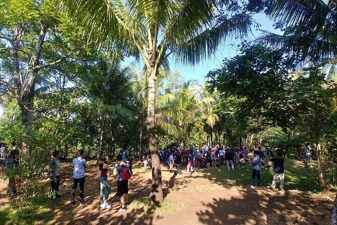 Jomblang and Pindul Cave Small Group Tour With Transfer and Lunch - Who Will Love This Tour?