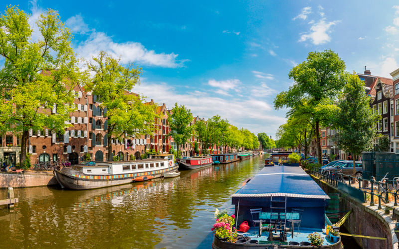 Jordaan, Anne Frank and Vondelpark Walking Tour in Amsterdam - From the city’s evening energy to a daytime walk