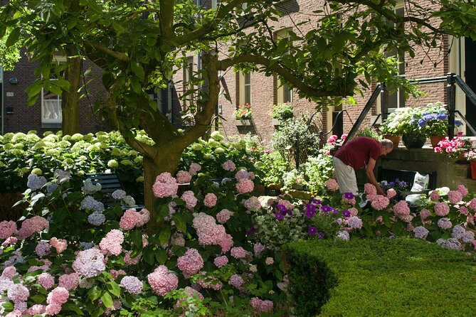 Jordaan District Walking Tour in English or German - Local Insights and History