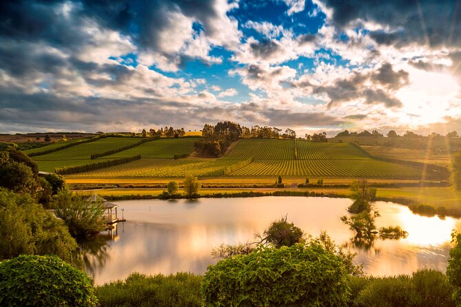 Josef Chromy Wines: Tour, Tasting and Lunch - The Sum Up