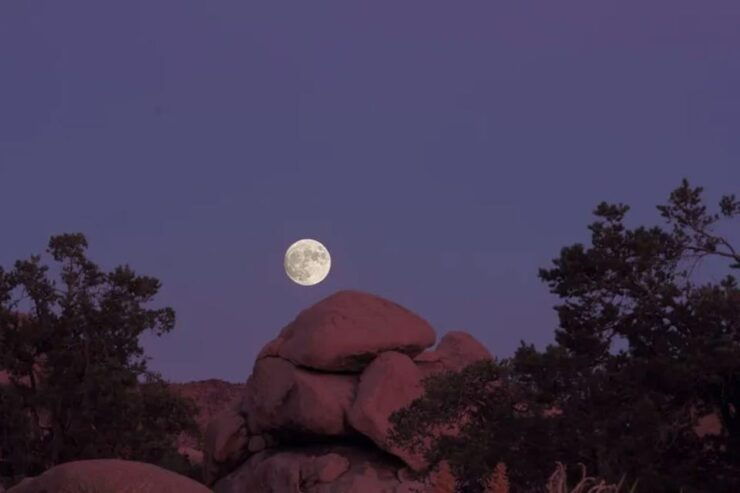 Joshua Tree: Full Moon Hike With Local Guide - Good To Know