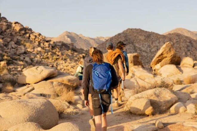 Joshua Tree: Full Moon Hike With Local Guide - Included Features