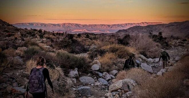 Joshua Tree: Half-Day Private Hike of the National Park - Meeting Point & Directions