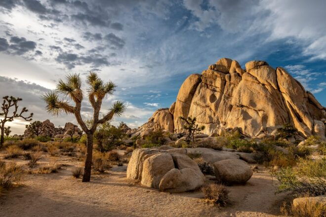 Joshua Tree: Keys View Iconic Driving Tour - Tour Access and App Features