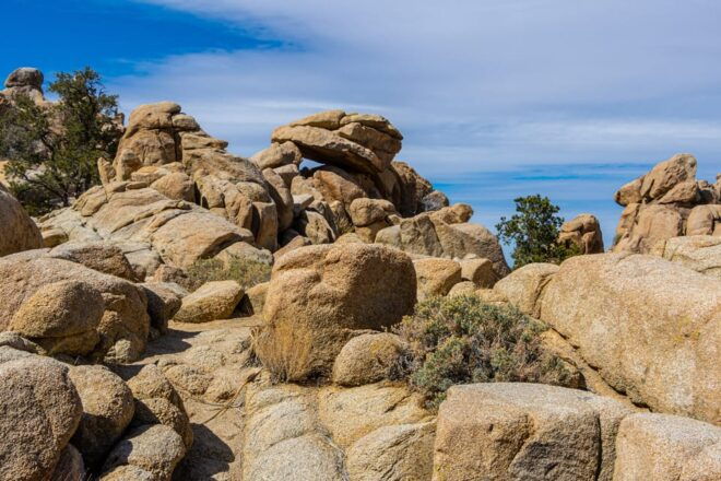 Joshua Tree: Keys View Iconic Driving Tour - Key Attractions and Trails