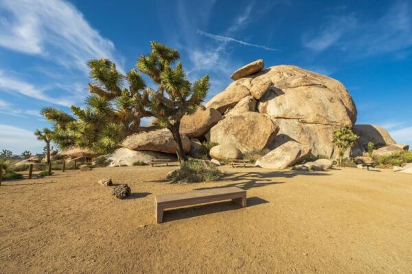 Joshua Tree: Keys View Iconic Driving Tour - Exploratory Hikes and Adventures