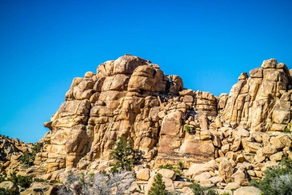 Joshua Tree: Keys View Iconic Driving Tour - Additional Information and Support