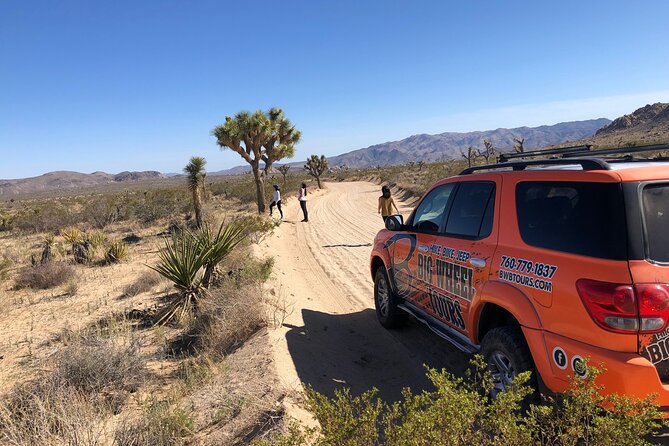 Joshua Tree National Park Offroad Tour - Tour Details and Logistics