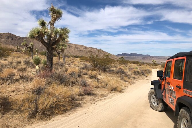 Joshua Tree National Park Offroad Tour - Tour Requirements and Accessibility