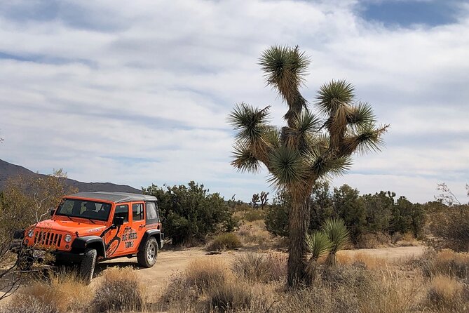 Joshua Tree National Park Offroad Tour - Cancellation Policy and Weather Conditions
