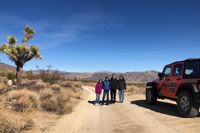 Joshua Tree National Park Offroad Tour - Customer Reviews and Recommendations