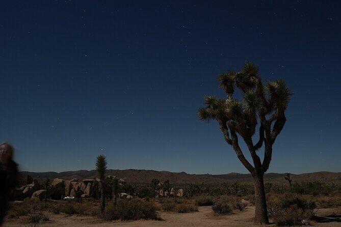 Joshua Tree National Park Private Adventure from Los Angeles - Good To Know  