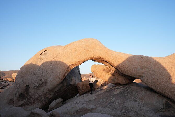 Joshua Tree National Park Private Adventure from Los Angeles - Value for Money and Overall Impression  