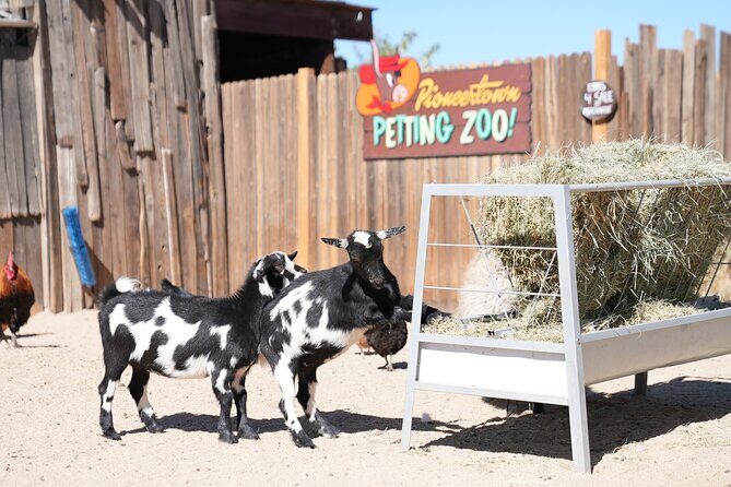 Joshua Tree National Park Private Adventure from Los Angeles - Who Should Consider This Tour?  