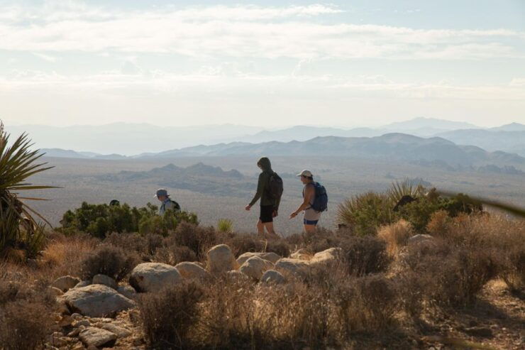 Joshua Tree National Park: Tour and Hike - Transportation Details