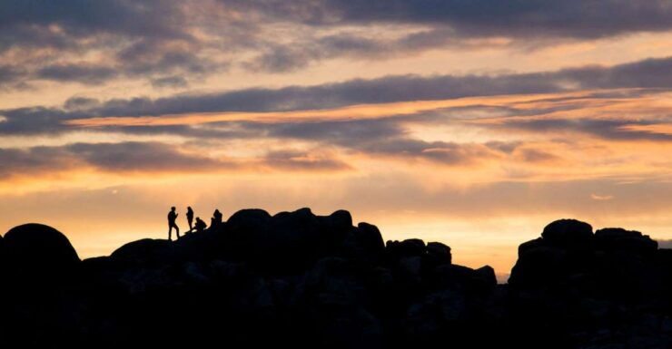 Joshua Tree NP: Sunrise or Sunset Tour - Activity Details