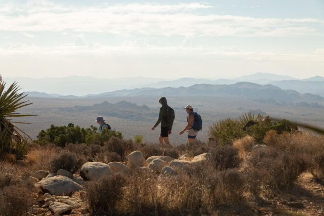 Joshua Tree NP: Sunrise or Sunset Tour - Experience Highlights