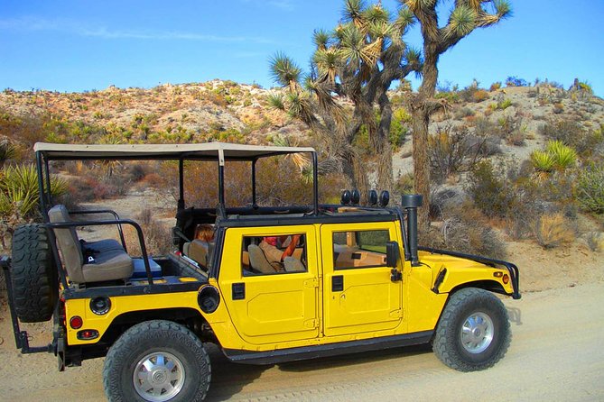 Joshua Tree Open Air Hummer Adventure - Pricing and Booking Information