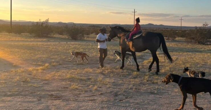 Joshua Tree: Pony Ride for Children - Pony Ride Details