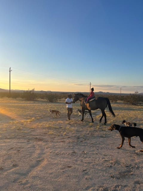 Joshua Tree: Pony Ride for Children - Safety and Requirements
