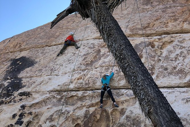Joshua Tree Small-Group Half-Day Rock-Climbing Experience  - Palm Springs - Tour Details and Highlights