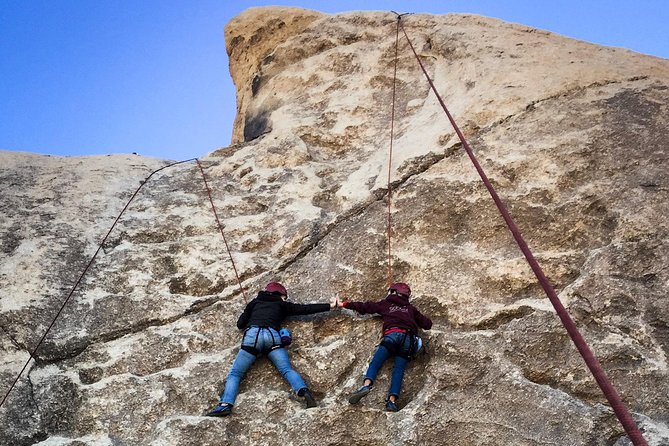 Joshua Tree Small-Group Half-Day Rock-Climbing Experience  - Palm Springs - Cancellation Policy